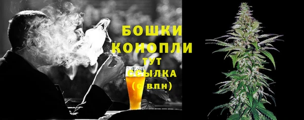 PSILOCYBIN Баксан