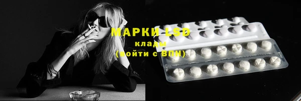 PSILOCYBIN Баксан