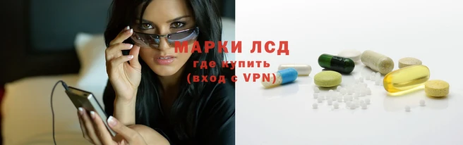 ПСИЛОЦИБИНОВЫЕ ГРИБЫ Балабаново