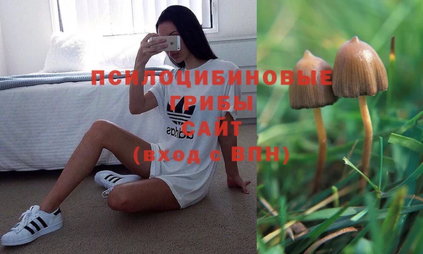 apvp Богородск
