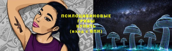 эйфоретик Балахна