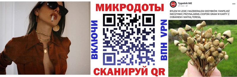 Галлюциногенные грибы Psilocybine cubensis  ссылка на мегу онион  Невель 